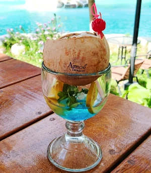 Coconut-Fruits